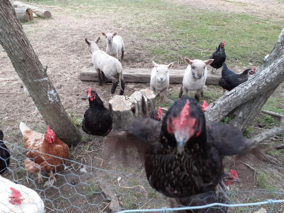 לינה וארוחת בוקר Ashton Keynes The Byre North End Farm מראה חיצוני תמונה